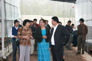 鎮領導下鄉檢查工作