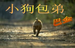 《小狗包弟》