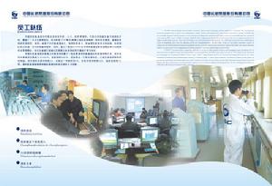 長航鳳凰股份有限公司