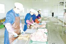 二毛裘皮養殖及加工圖集