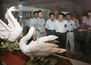 （圖）嘉賓參觀瓷塑天鵝