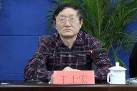 丁士宏 丁士宏