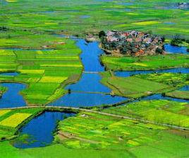 雲夢澤平原 雲夢澤平原