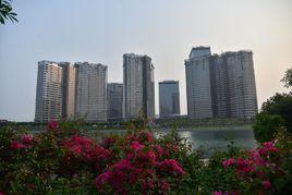 泰地海西中心 泰地海西中心