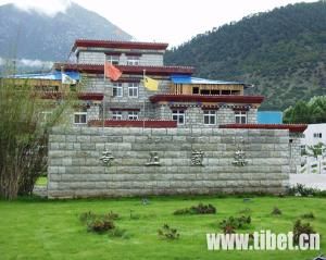 西藏奇正藏藥股份有限公司 西藏奇正藏藥股份有限公司