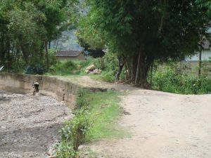 栗樹沖自然村 栗樹沖自然村