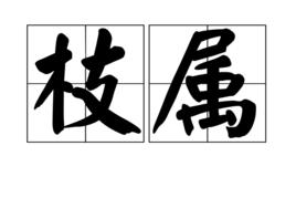 枝屬 枝屬