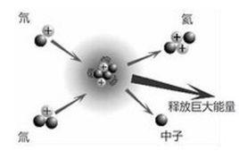 中子毒物 中子毒物