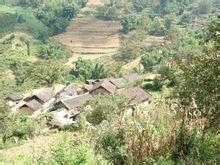 青樹丫口自然村 青樹丫口自然村