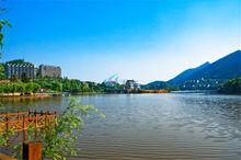 金鳳鎮[重慶市九龍坡區金鳳鎮]