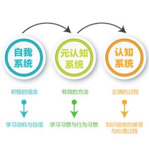 天向智慧型閱讀 天向智慧型閱讀