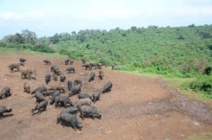 阿布戴爾 阿布戴爾