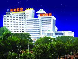 河南中醫學院平樂正骨學院 河南中醫學院平樂正骨學院