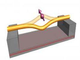 自旋相干 自旋相干