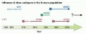 流感演變史