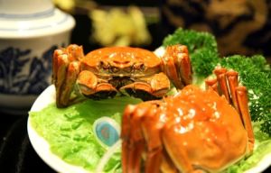 興化大閘蟹商城 興化大閘蟹商城