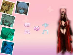 貓女卡門 貓女卡門