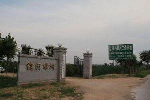 沙河店鎮 沙河店鎮