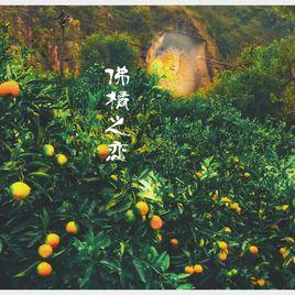 佛橘之戀 佛橘之戀