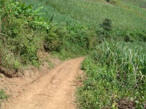 大舊籠村 大舊籠村