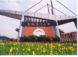 東莞東城第三國小 東莞東城第三國小