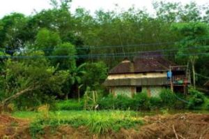 一分場村 一分場村