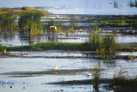 山海關石河生態防洪綜合整治工程 山海關石河生態防洪綜合整治工程