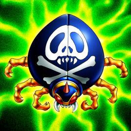 骷髏顏瓢蟲 骷髏顏瓢蟲