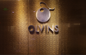OLVINS