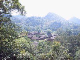 寒洞村[雲南省文山文山壯族苗族自治州富寧縣睦倫鄉下轄村]