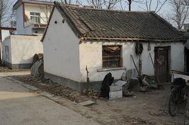 獅子莊村 獅子莊村