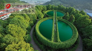 高位水池 生態淨水