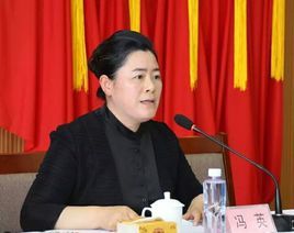 馮英[遼寧盤錦市雙台子區委書記]