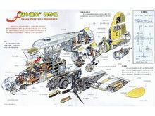 “空中堡壘”B-17轟炸機結構剖視示意圖