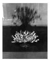 照相凹版 照相凹版