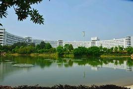 膠束色譜法 膠束色譜法