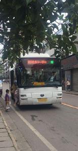 內江公交302 內江公交302