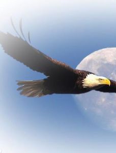 九天攬月[電視劇]