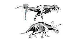 始三角龍 始三角龍