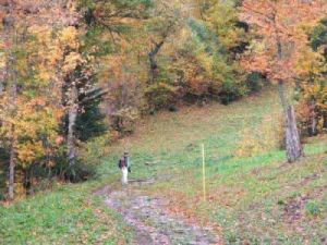 勞倫琴低高原 勞倫琴低高原