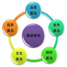 集團管控 集團管控