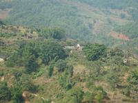 施家墳自然村 施家墳自然村