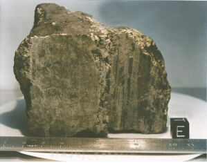 火星化石 火星化石