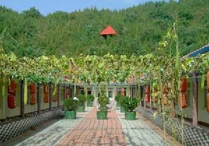 石塘路村 石塘路村