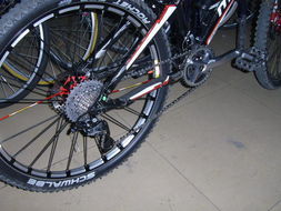 美利達96至尊3000-D