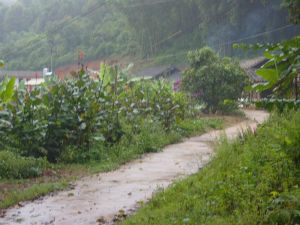 大勐帕自然村 大勐帕自然村
