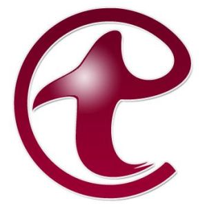 騰脈集團有限公司 騰脈集團有限公司