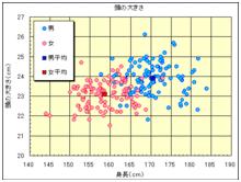 頭全高和頭身比
