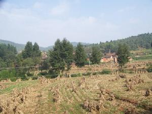 老鐵廠村 老鐵廠村