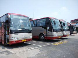 天津462路 天津462路